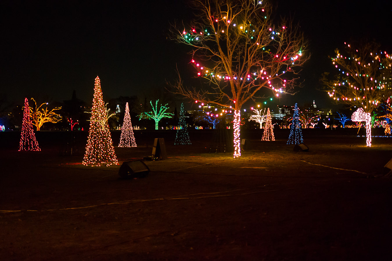 trails of lights and zilker christmas tree 2012xmass